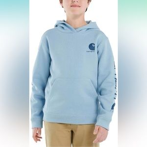 Carhartt Long Sleeve Graphic Sweatshirt Hoodie